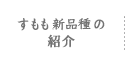 すもも新品種のご紹介